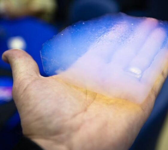 Il Blog di Beppe Grillo