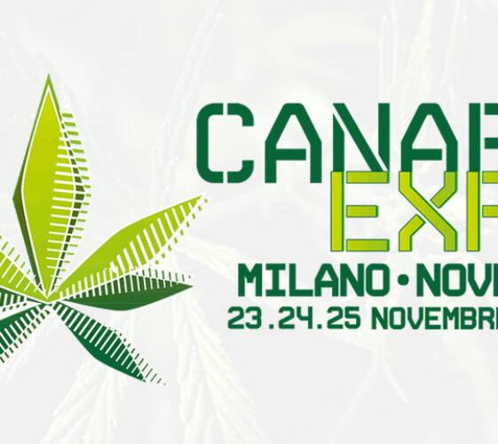 Il Blog di Beppe Grillo