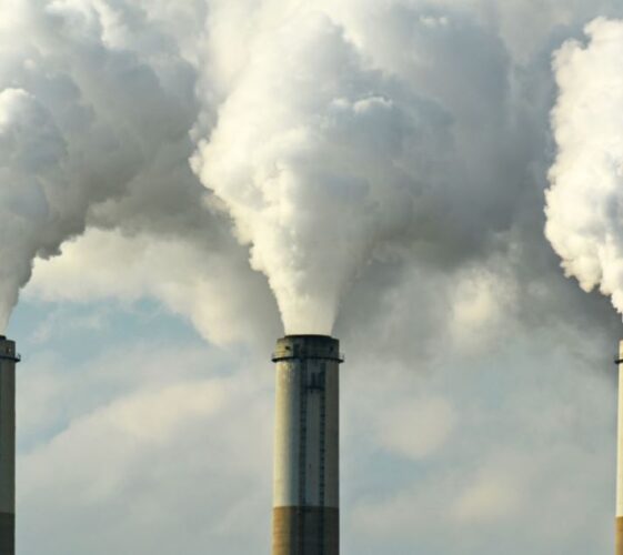 Il Blog di Beppe Grillo