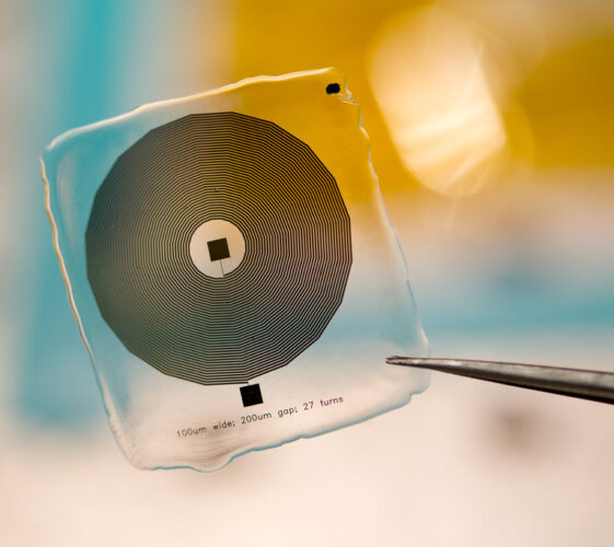 Il Blog di Beppe Grillo