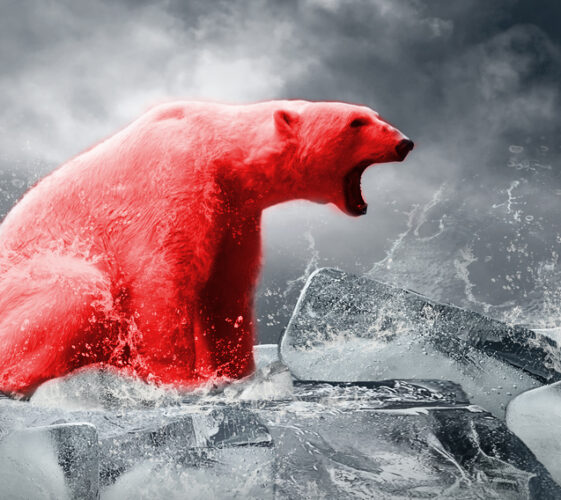 Il Blog di Beppe Grillo