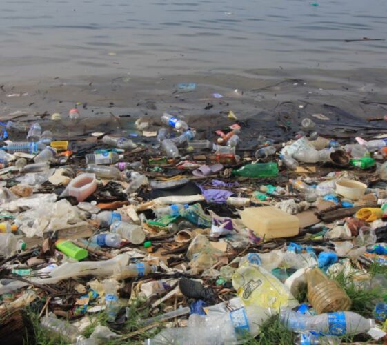 Il Blog di Beppe Grillo