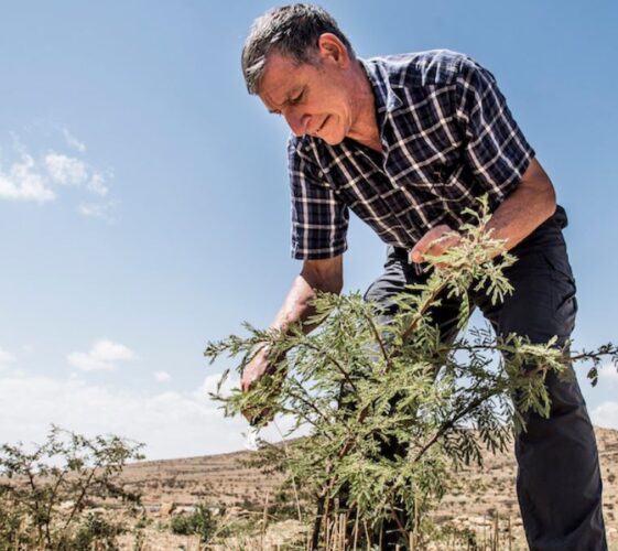 Il Blog di Beppe Grillo