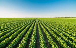 Il Blog di Beppe Grillo