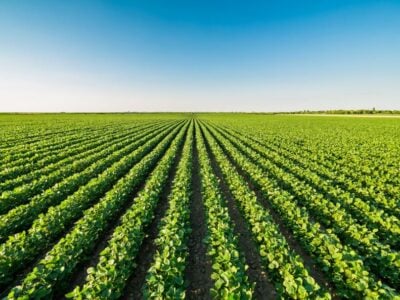 Il Blog di Beppe Grillo