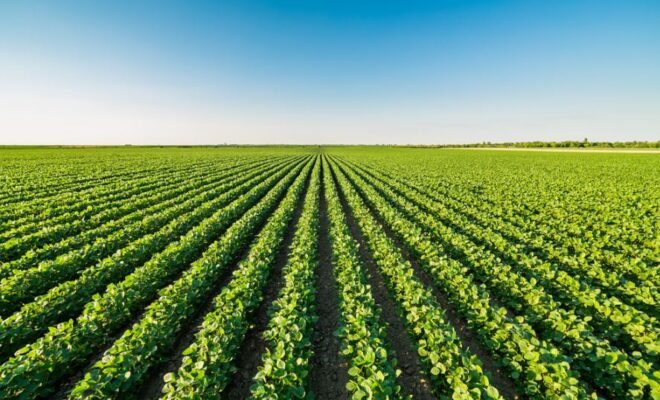 Il Blog di Beppe Grillo