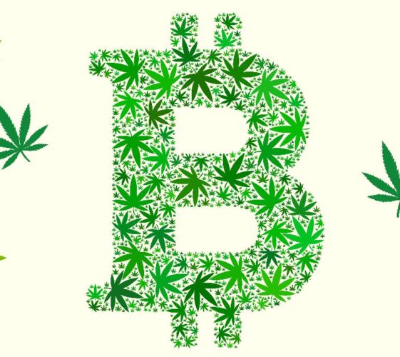 Il Blog di Beppe Grillo