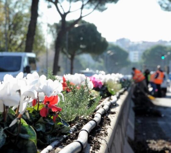 Il Blog di Beppe Grillo