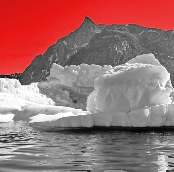 Il Blog di Beppe Grillo