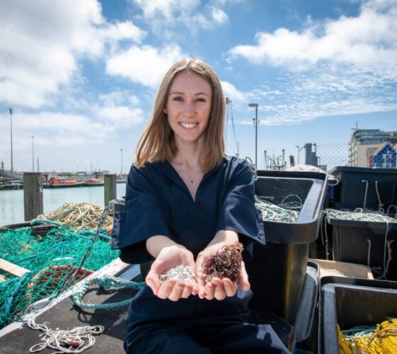 Il Blog di Beppe Grillo