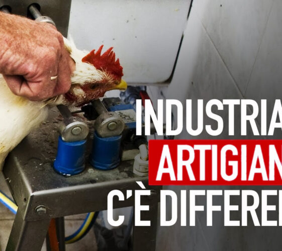 Il Blog di Beppe Grillo