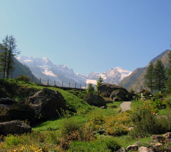 Il Blog di Beppe Grillo