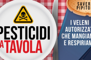 Il Blog di Beppe Grillo