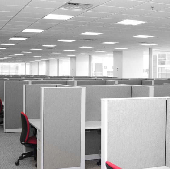 Il Blog di Beppe Grillo