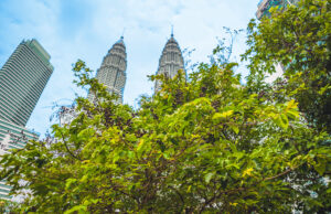 La foresta urbana del futuro: da città a Treetopia