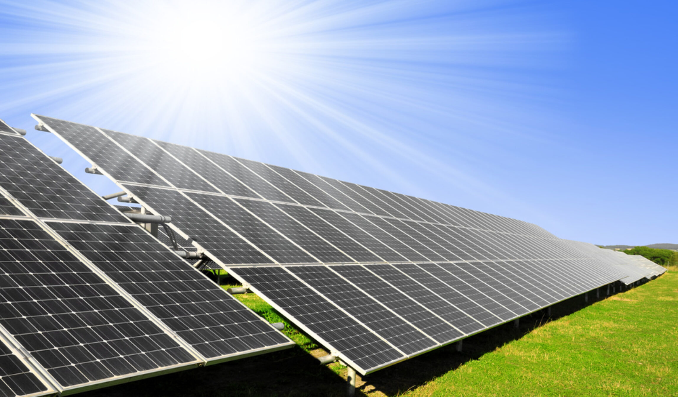 Il Blog di Beppe Grillo