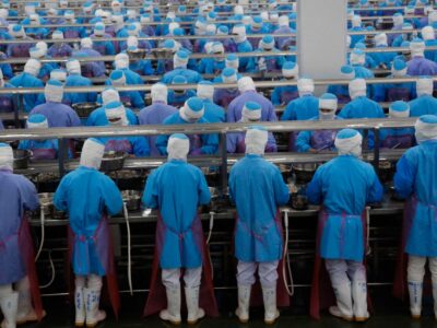 Il Blog di Beppe Grillo