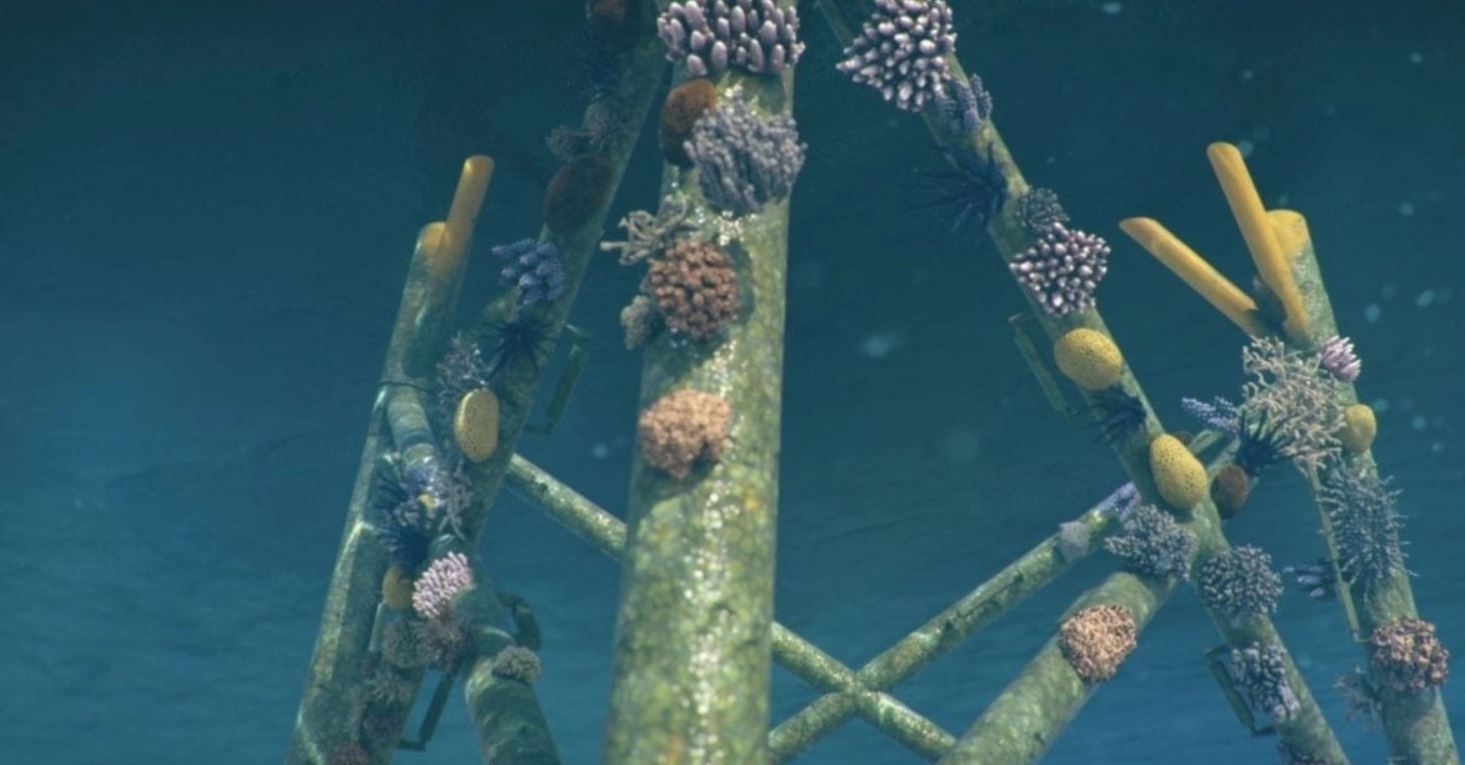 Un rifugio per i coralli: le turbine eoliche offshore - M5S notizie m5stelle.com