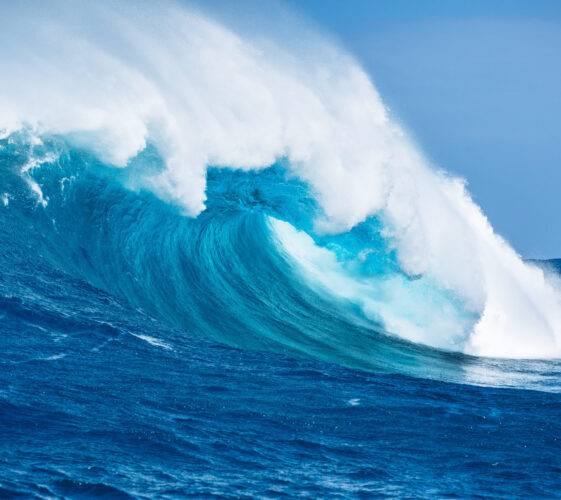 Il Blog di Beppe Grillo