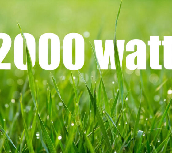 Il Blog di Beppe Grillo