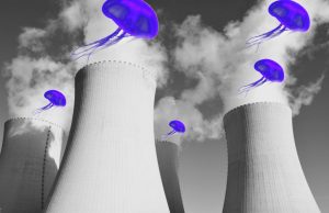 Aurelia dentro il reattore nucleare