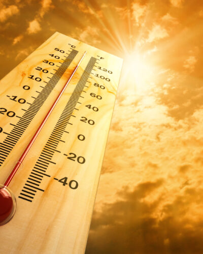 Il Blog di Beppe Grillo