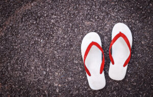 Il Blog di Beppe Grillo