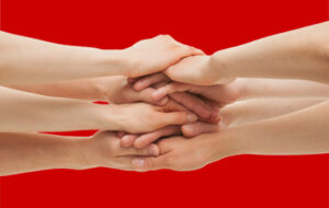 Il Blog di Beppe Grillo