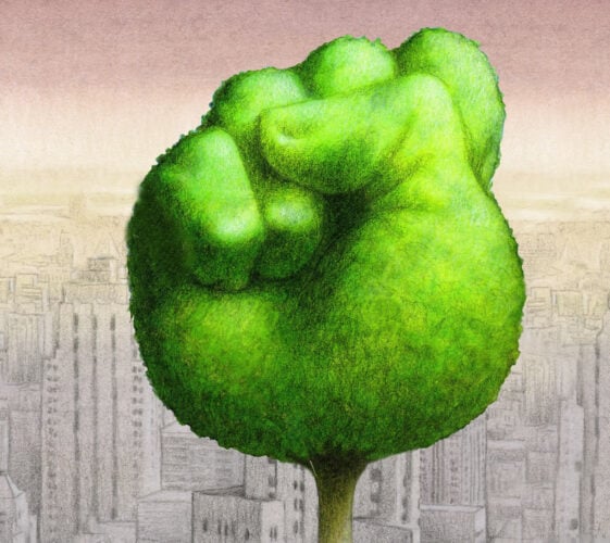 Il Blog di Beppe Grillo