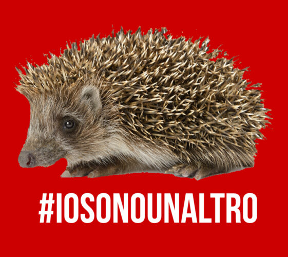 Il Blog di Beppe Grillo