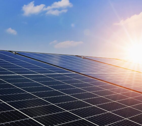 Il Blog di Beppe Grillo