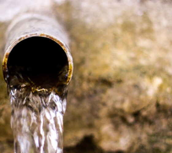 Il Blog di Beppe Grillo