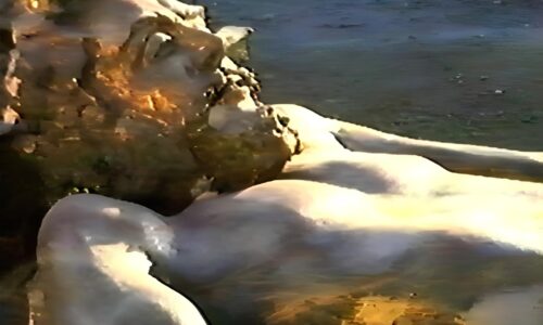 Il Blog di Beppe Grillo