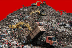 Il Blog di Beppe Grillo