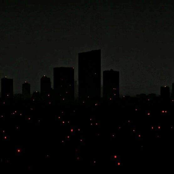 Il Blog di Beppe Grillo