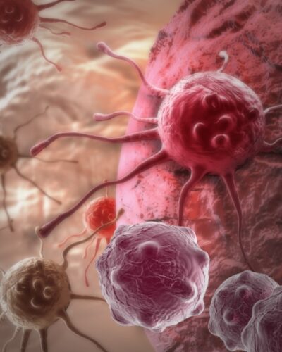 Il Blog di Beppe Grillo