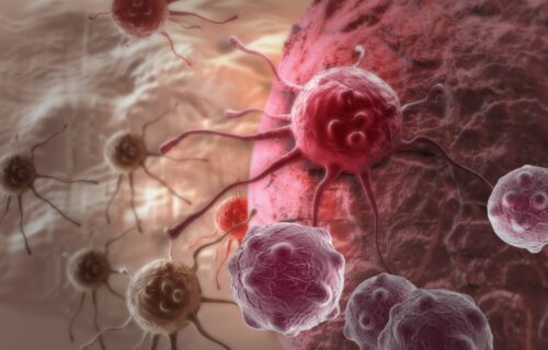 Il Blog di Beppe Grillo