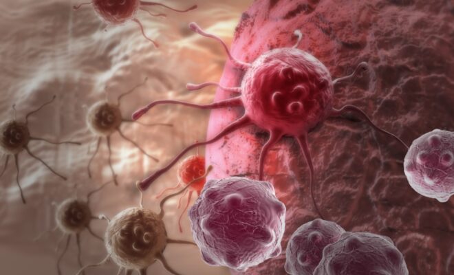 Il Blog di Beppe Grillo