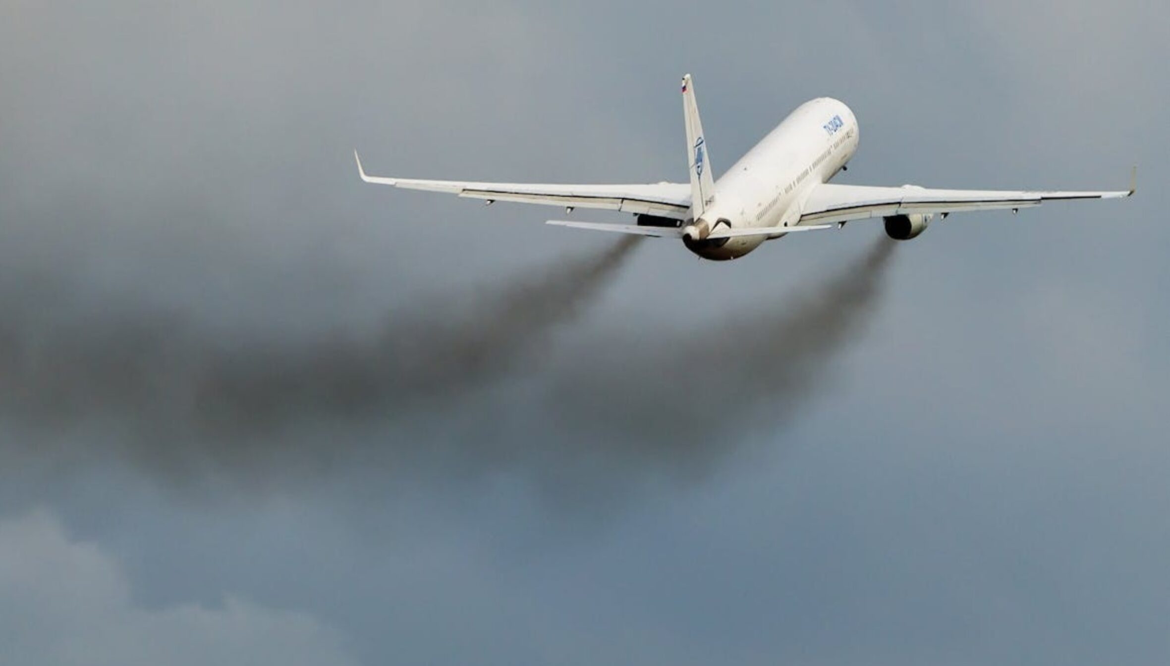 Il Blog di Beppe Grillo