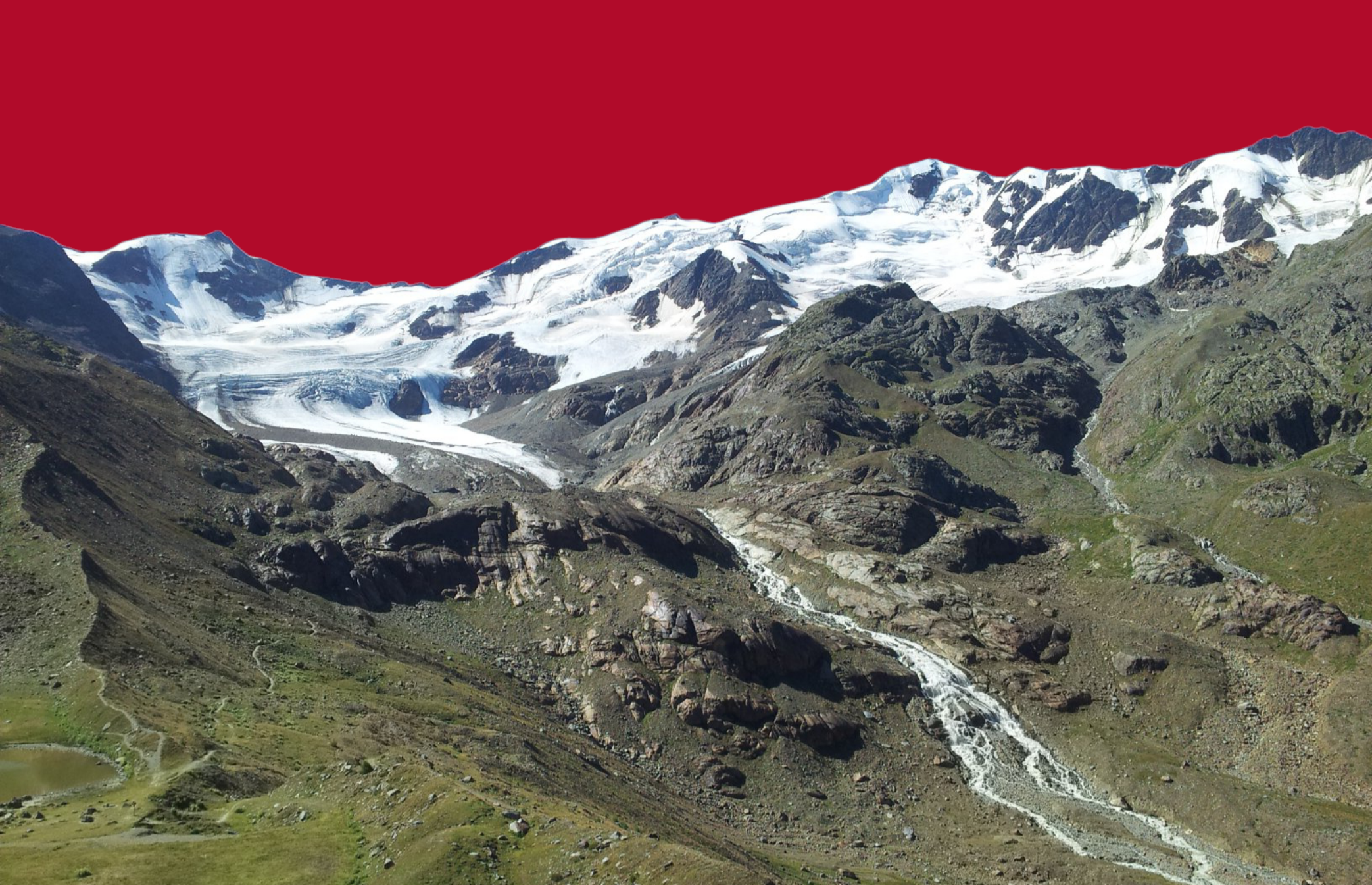 Il Blog di Beppe Grillo