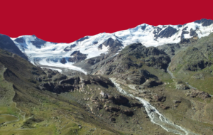 Il Blog di Beppe Grillo