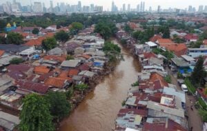 Il Blog di Beppe Grillo