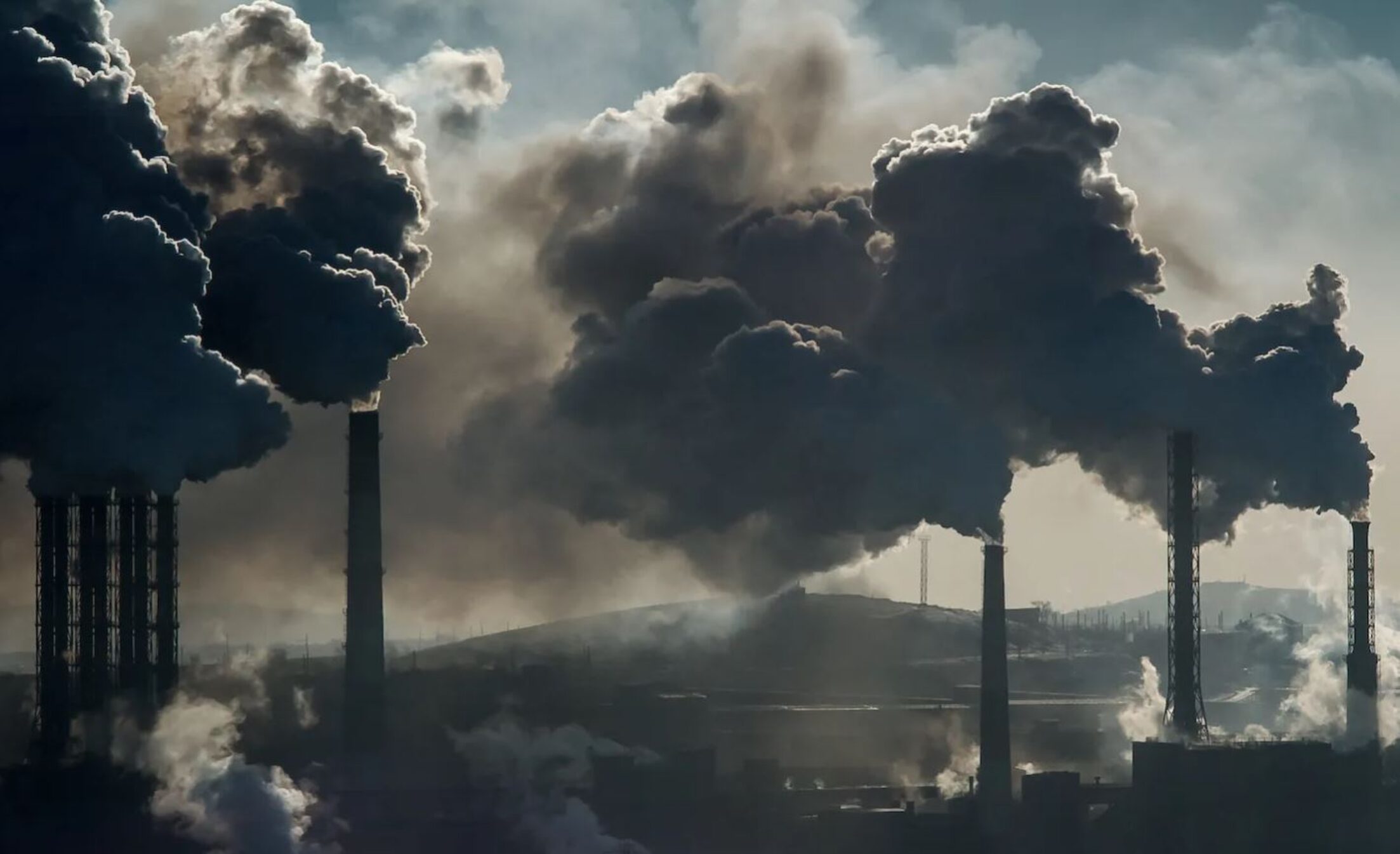 Il Blog di Beppe Grillo