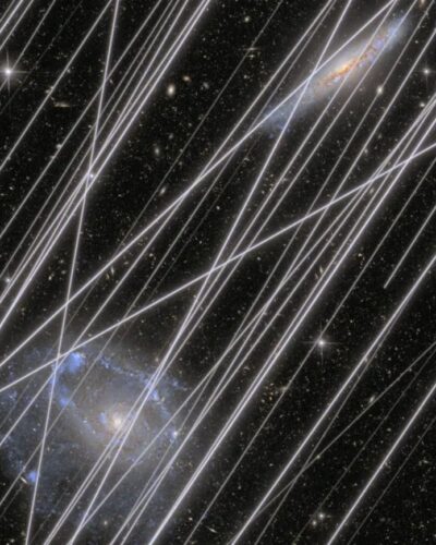 Il Blog di Beppe Grillo