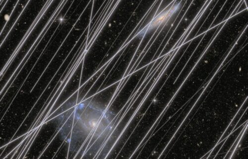 Il Blog di Beppe Grillo