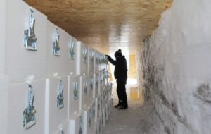 Il Blog di Beppe Grillo