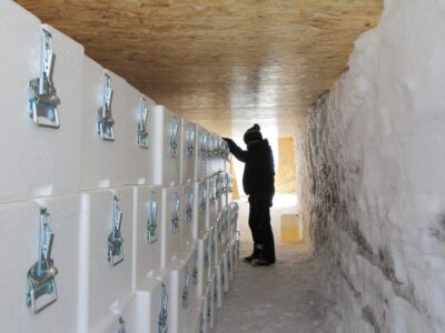 Il Blog di Beppe Grillo