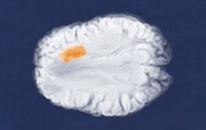 Il Blog di Beppe Grillo