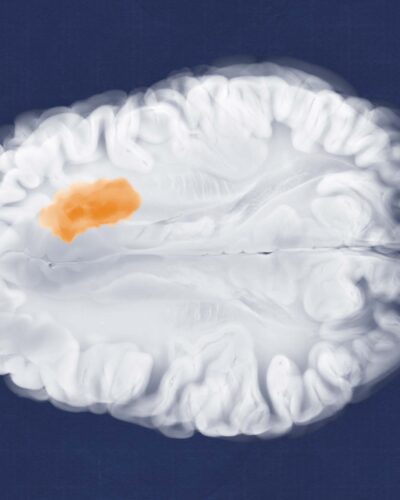 Il Blog di Beppe Grillo