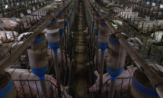 Il Blog di Beppe Grillo